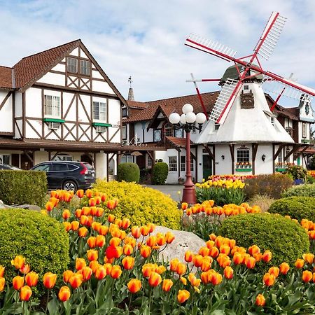 Auld Holland Inn Oak Harbor Dış mekan fotoğraf