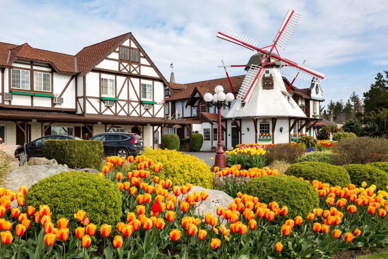 Auld Holland Inn Oak Harbor Dış mekan fotoğraf